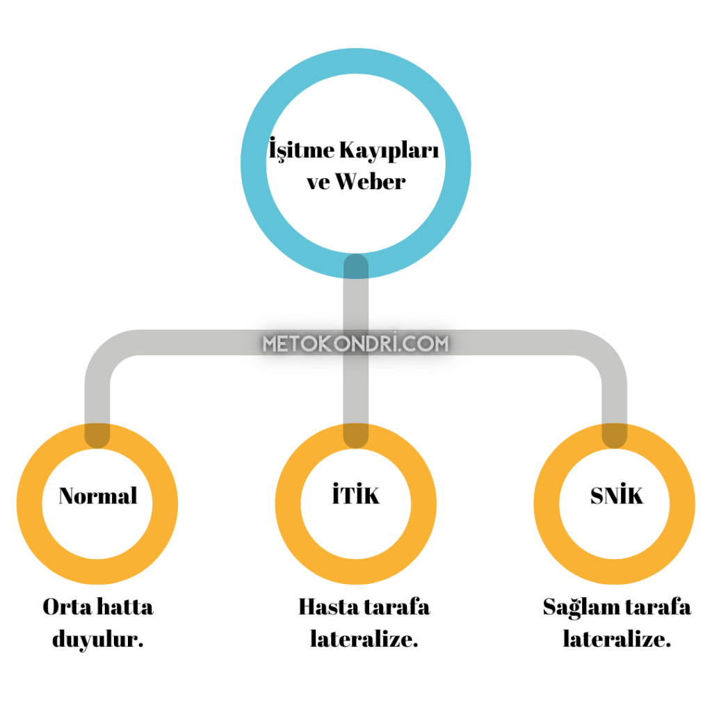 İşitme Kayıplarına Göre Weber Testi Değerlendirilmesi