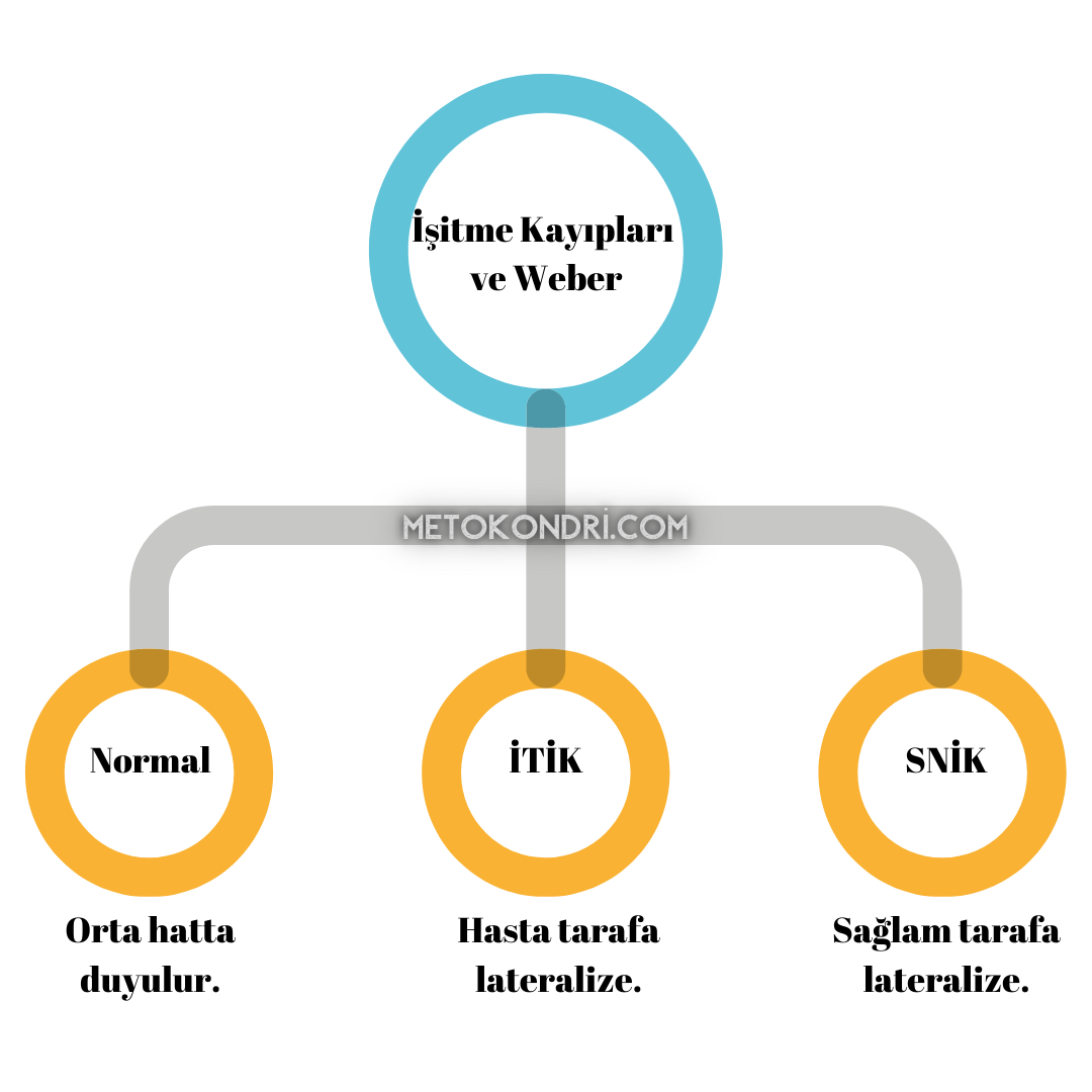 İşitme Kayıplarına Göre Weber Testi Değerlendirilmesi 2020